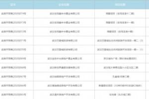 武汉楼市4月将有14个项目入市均价最低约7000元/平